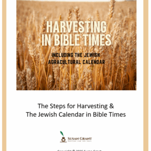 Bible Time Harvesting & Jewish Calendar – Ancient Israel Agriculture for Bible Lessons